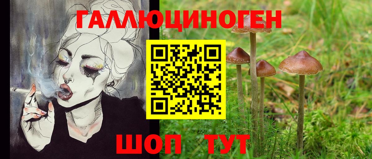 Псилоцибиновые грибы MAGIC MUSHROOMS  Вход с VPN  Дмитров 
